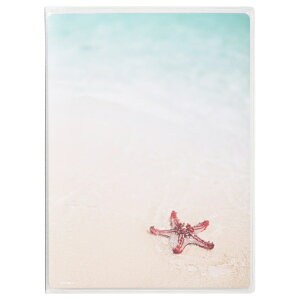 HAKUBAbnNo ytB Aoz P|PbgAoCP R 2LTCY 20[ qgf nNo qgf APCP2LHTD