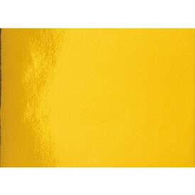 トーヨー｜Toyo 色工作用紙 金