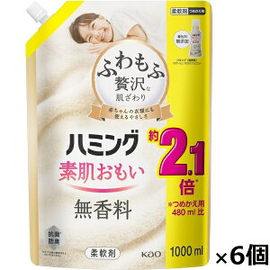 ԉbKao yP[Xz n~O  ߂p 1000ml×6 n~O