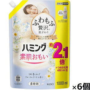 ԉbKao yP[Xz n~O t[u[P̍ ߂p 1000ml×6 n~O