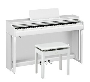 YAMAHAb}n dqsAm zCgEbh CLP-825WH [88]