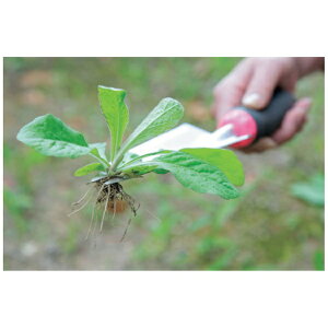 【エントリーで最大全額ポイント還元|11/5迄】 グリーンクロス|Green Cross 植替え職人 頑丈根切りスコップ 6300044481 【メーカー直送・代金引換不可・時間指定・返品不可】