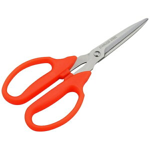 O[NXbGreen Cross Ԃ͂݁in^j 6300044478 y[J[EsEԎwEԕisz