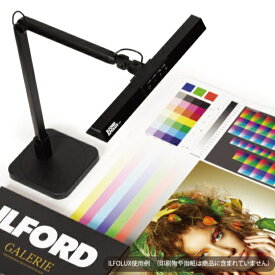 ILFORD｜イルフォード 〔高演色LEDスタンドライト〕イルフォルクスMKI 433058 [LED /昼光色〜電球色]
