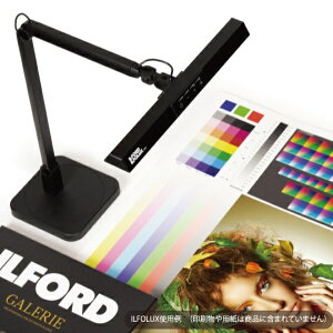ILFORDbCtH[h kFLEDX^hCglCtHNXMKI 433058 [LED /F`dF]