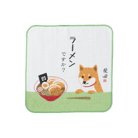 フレンズヒル｜Friendshill ガーゼタオル　ラーメンデスカ グリーン HW-383-57