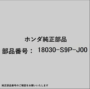 HONDAbz_ z_Ehondai 18030-S9P-J00 }t[