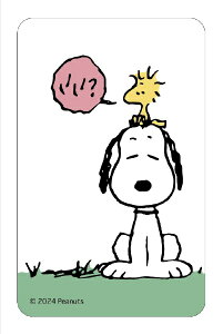 �J���`���A�E�G���^�e�C�������g�bCulture Entertainment �܂�����I�N���A�J�[�h PEANUTS�i�s�[�i�b�c�j2 �܂�����S�ݓX