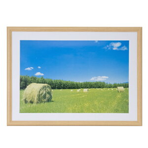 FUJICOLORbtWJ[ ؐz YM-3ifW^A3mr^ؒn ANj[YM3]