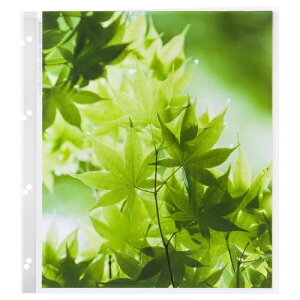 HAKUBA�b�n�N�o �y�A���o���֑䎆�z ���|�[�g�A���o�� L/DX/�O�����fEL600�p �֑䎆 4�؃T�C�Y �n�N�o ARP-SS4