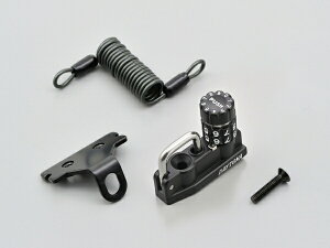 fCgibDAYTONA 49171 _Cwbgz_[ ~[M10Nv^Cv