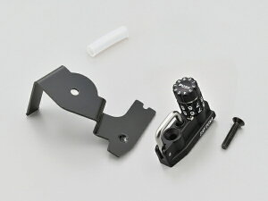 fCgibDAYTONA 48698 _Cwbgz_[ Rebel1100