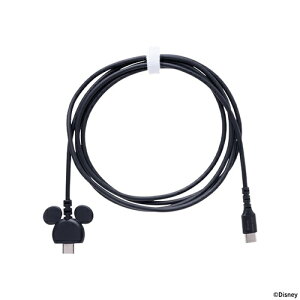 yGg[ōőSz|CgҌb11/5z HAMEEbn~B fBYj[LN^[ USB 2.0 CABLE TYPE-C to TYPE-C 1.5m ubN 669-982983