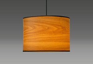 ZbTAKIZUMI LEDy_gCg LEDdt@dF GL1120P [dF /E26]ynewlife_campaign_gz