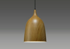 ZbTAKIZUMI LEDy_gCg LEDdt@dF GL1133P [dF /E26]ynewlife_campaign_gz