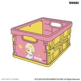 カルチュア・エンタテインメント｜Culture Entertainment 折りたたみミニコンテナ　WOOZI PetiTEEN 【代金引換配送不可】