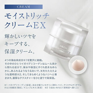 ANV[WAbAXXZIA r[eBtH[XCXgb`N[EX