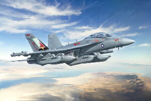 vbcbPLATZ 1/48 EA-18G OE[ AJCR VFQ-134/VFQ-137/I[XgAR 6s 100NLOh@ C^