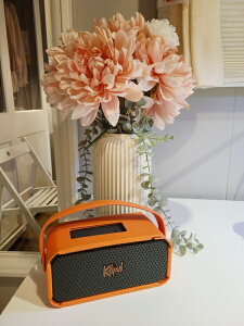 KLIPSCHbNvV Klipsch NashvillepP[X v IW av990001-C07