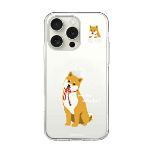 ROA�b���A iPhone 16 Pro�i6.3�C���`�j �\�t�g�N���A�P�[�X MagSafe ���΂����� abbi FRIENDS ���U���܂��ł���? ABF27223i16PR