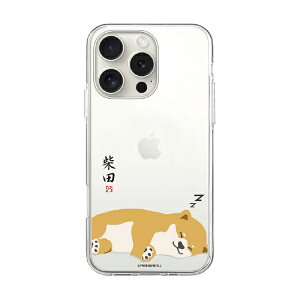 ROA�b���A iPhone 16 Pro�i6.3�C���`�j �\�t�g�N���A�P�[�X MagSafe ���΂����� abbi FRIENDS ���Q ABF27231i16PR