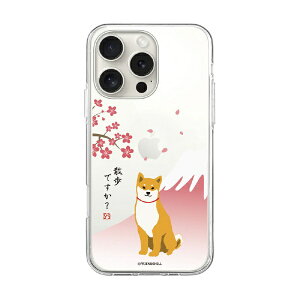 ROA�b���A iPhone 16 Pro�i6.3�C���`�j �\�t�g�N���A�P�[�X MagSafe ���΂����� abbi FRIENDS ������ ABF27235i16PR