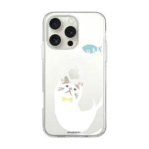 ROA�b���A iPhone 16 Pro�i6.3�C���`�j �\�t�g�N���A�P�[�X MagSafe �^�[�`���� abbi FRIENDS ���ƃ^�[�`���� ABF27279i16PR