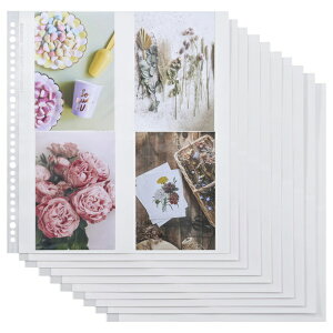 HAKUBAbnNo yAo֑䎆z tHgVXet@Cp ֑䎆 |XgJ[hTCY nNo APSF-SSPC [|PbgAop]