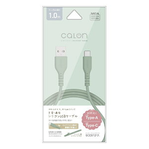 ���X�^�o�i�i�bRastaBanana calon USB-A to Type-C �_�炩�V���R���P�[�u�� 1.0m �X���[�L�[�O���[�� R10CAAC3A06SGR [USB-A �� USB-C]