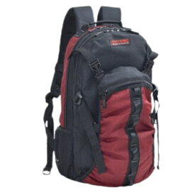 平野｜Hirano ヘルメットリュック ヘルメットバッグ　デイパック 大容量[20L] ガルウイング ワイン 42593