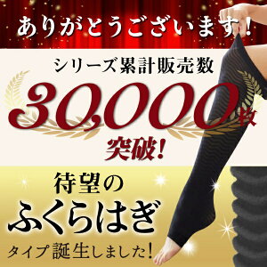 ͏bTAIGASHOJI Bepit062 / ӂ͂}bT[WtBbgXpbc ubN-F Bepit ubN