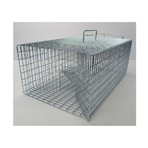 RpbCOMPAL Rp Ɩp˂ݕߊl