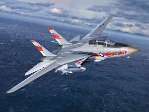 hCcxbRevell GmbH 1/144 O} F-14A gLbg