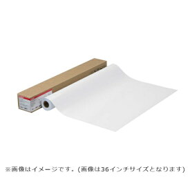 CANON｜キヤノン 〔インクジェット〕ロール紙 フォト半光沢紙HG 薄口 167g/m2 [728mmx30m /1巻] LFM-SGH/B1/170 [B1]
