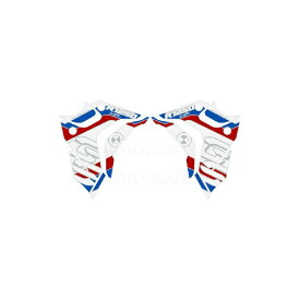 モトグラフィックス｜MOTOGRAFIX Number Board Decal ProtectorBMW R1250GS（18-21）（Rallye Special Edition） MT-BRG001HP