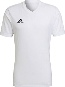 AfB_Xbadidas Y ENTRADA 22 W[W[ White ZG486 [Y /LTCY]