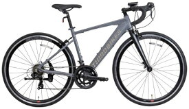 THIRDBIKES｜サードバイクス 700×28C型 ロードバイク FESROAD マットグレー [14段変速（2×7）]【キャンセル・返品不可】 【代金引換配送不可】