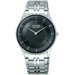 CITIZEN�b�V�`�Y�� �m�\�[���[���v�n�X�e���b�g�iSTILETTO�j �u�G�R�E�h���C�u���f���v AR3010-65E[AR301065E]