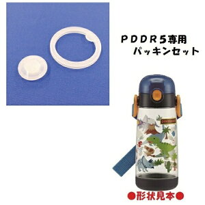 SkaterbXP[^[ PDDR5p pbL P-PDDR5-PS