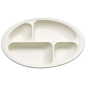 SkaterbXP[^[ ؖ ₷d؃v[g@N[ NLPS1B