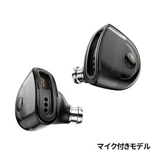 TWISTURA�b�c�E�B�X�`���� �C���z�� �J�i���^ D-Minor With Mic [�J�i���^ /��3.5mm �~�j�v���O]