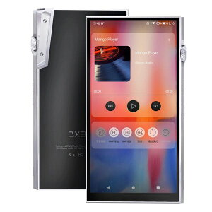 yGg[ōőSz|CgҌb11/5z iBasso AudiobACob\I[fBI nC]|[^uv[[ iB-DX340 [nC]Ή]