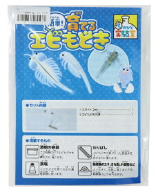アーテック｜Artec てのひら実験室 育てるエビもどき（袋タイプ）