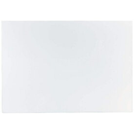 ライオン事務器｜LION PPソフトカードケース(軟質タイプ) A1判 A1-SC 【メーカー直送・代金引換不可・時間指定・返品不可】