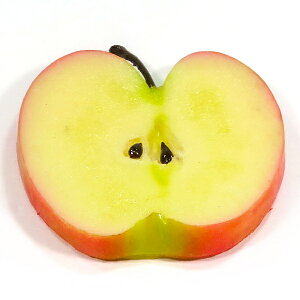 eN[Y R[X^[STCY HׂႢȃR[X^[ S 206FC