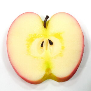 eN[Y R[X^[LTCY HׂႢȃR[X^[ S 144FC