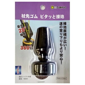 Ђ܂bHimawari S s^bƐڒnijV09948