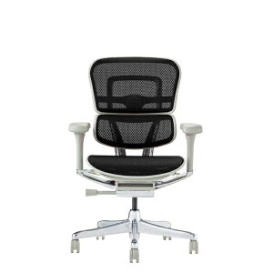 GSq[}bErgohuman `FA [W675xD665xH1050`1145mm] PRO2 Low Type[O[t[] ubN 445421 EHP2-LAM-DR-GF-BK