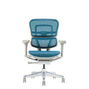 GSq[}bErgohuman `FA [W675xD665xH1050`1145mm] PRO2 Low Type[O[t[] u[ 445424 EHP2-LAM-DR-GF-BL