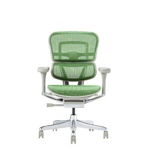 �G���S�q���[�}���bErgohuman �`�F�A [W675xD665xH1050�`1145mm] PRO2 Low Type[�O���[�t���[��] �O���[�� 445425 EHP2-LAM-DR-GF-GN